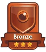 File:Bronze Tier.png