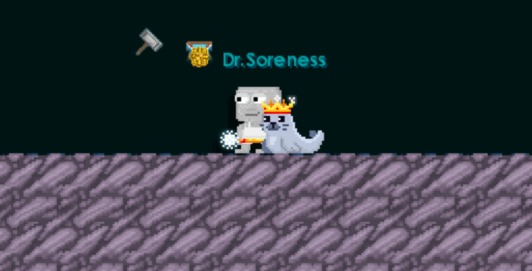 File:Royal Winter Seal Pet.gif