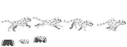 Snow Leopard Shawl Sprites.png