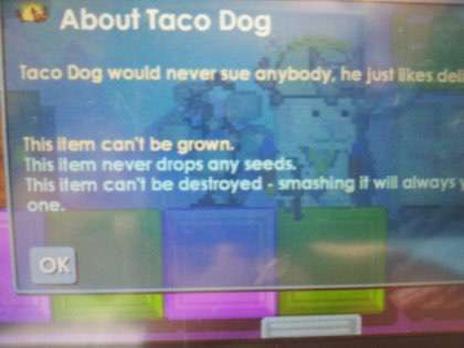 File:TacoDog info photo.jpeg