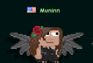 File:Munnin's Set.png