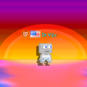 Summer Print Boardshorts.png