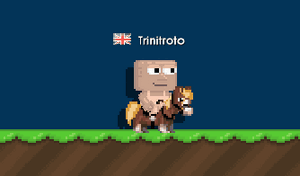 Guild Show Horse Moving.gif