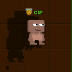 A player wearing a Spirit Guide