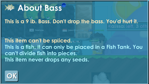 Bass1.PNG