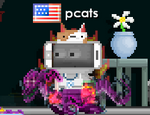 pcats wearing the Phonecats Hat in 2019
