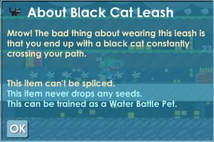 Black Cat Info.jpg