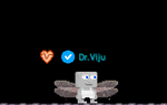A player wearing the Dragonfly Wings.