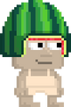 A player wearing the Watermelon Helmet.