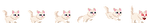 NekoRei's Fluffy Micio's pet textures