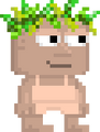 A player wearing the Green Leaf Crown.