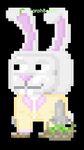 A player wearing the full bunny set