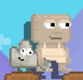 A player wearing Pet Rock