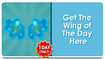 Aqua Wings' feature button