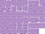 The textures of Coral
