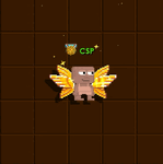 A player with Bling Wings equipped