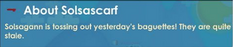 The in-game description of the Solsascarf