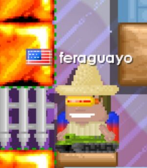 Feraguayo in room 413 at BUYROOMRIGHT.jpeg