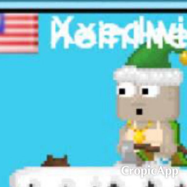 File:A tree stump.jpeg