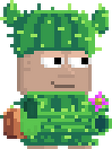 A player wearing the Cactus set.