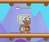 Player with an alive Geiger Counter equipped