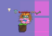 A player with Axolotl Scarf equipped