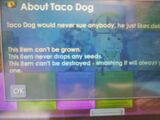 A old photo of Taco Dog info