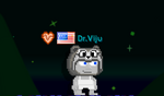 A player wearing the Raccoon Hood