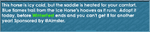 An old image of the Ice Horse's store description.
