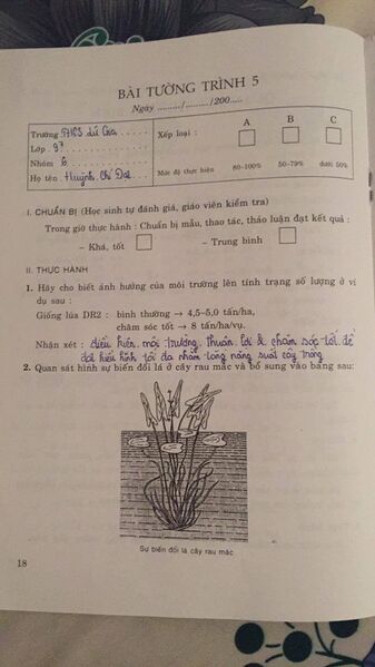 File:23555480 159072551501890 332663724 o.jpg