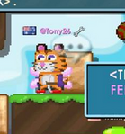 A screenshot of Tony26 from 2014, featuring the player wearing his trademark items