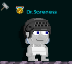 A player wearing the Ice Hockey Helmet