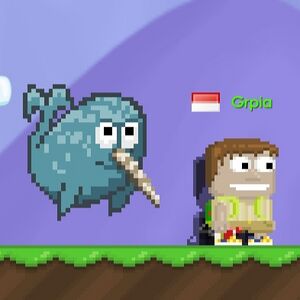 Mr. Narwhal Leash.jpg