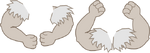 Unused Arms Texture