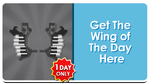 Musical Wings' store button