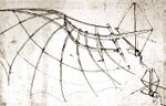 Leonardo Da Vinci's drawing, which became the source of inspiration for this item