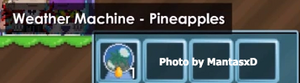 Weather Machine - Pineapple.png