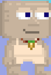 Super Pineapple Guardian Charm worn by a player