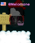 An image of former moderator @Melomane.