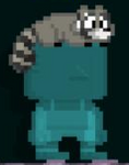 A player wearing a Raccoon Hat