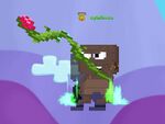 A player whose Adventurer's Whip is transformed by an Ancestral Seed of Life : Level 2.