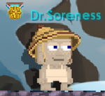 A player wearing the Bamboo Hat