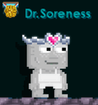A player wearing the Heartstone Circlet