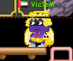 A player wearing a Chick Leash