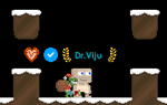 A player wearing the Pet Present Goblin