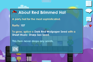 Red Brimmed Hat.png