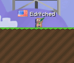 A player wearing the Shamrock Shields