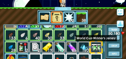 World Cup Winner's Jersey as an item in the player's inventory