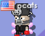 pcats wearing the Phonecats Hat 2013 (old design)