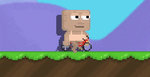 A player with the Red Bicycle equipped